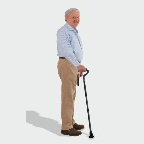 Second image of Ergocane 2G